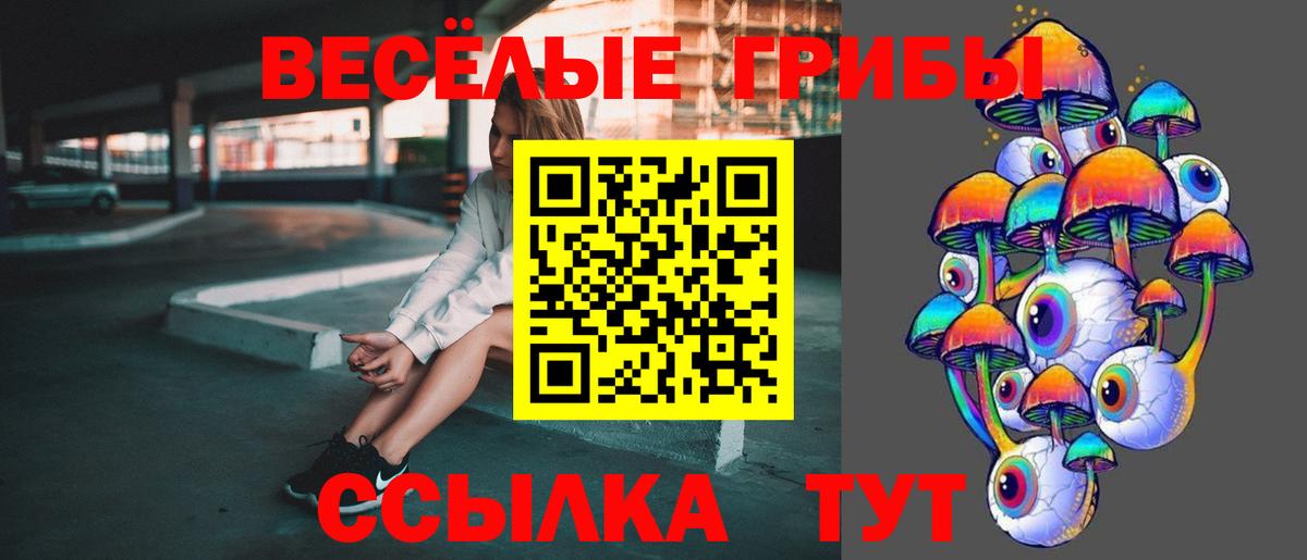 Псилоцибиновые грибы GOLDEN TEACHER  Вход с VPN  Ступино 